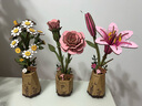 若物木藝繁花積木花洋甘菊DIY手工禮物木質(zhì)拼裝兒童玩具生日禮物 曬單實(shí)拍圖