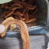 島城鵬程五花肉散條脂渣100g嘗鮮裝青島特產(chǎn)香脆生酮零食豬油渣源頭直發(fā) 曬單實(shí)拍圖