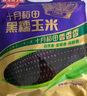 十月稻田 黑糯玉米 3.52斤（220g*8根）東北紫玉米 早餐零食 低脂飽腹 曬單實(shí)拍圖