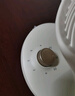 京東京造空氣循環(huán)扇 家用節能小型電風(fēng)扇四季循環(huán) 桌面小風(fēng)扇空調伴侶大風(fēng)量宿舍辦公室搖頭輕音 小云朵pro 曬單實(shí)拍圖