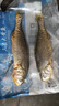 1號會(huì )員店【山姆同廠(chǎng)】冷凍寧德三去大黃魚(yú) 黃花魚(yú) 凈重700g/2條裝 水產(chǎn)魚(yú) 曬單實(shí)拍圖