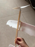 雷鳥(niǎo)橡皮筋動(dòng)力飛機模型滑翔機玩具diy中小學(xué)生拼裝橡筋航模天模 新雷鳥(niǎo)標配【含皮筋】 曬單實(shí)拍圖