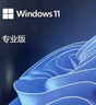 正版windows11專(zhuān)業(yè)版原版純凈重裝10家庭簡(jiǎn)體中文pro蘋(píng)果mac筆記本雙系統M2芯片U盤(pán)遠程 win11專(zhuān)業(yè)版-簡(jiǎn)體中文USB（可激活一臺） 曬單實(shí)拍圖