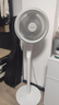 美的（Midea）電風(fēng)扇 空氣循環(huán)扇家用立式落地大風(fēng)力搖頭落地扇電扇桌面臺扇輕音低噪小風(fēng)扇 FGA24TS 曬單實(shí)拍圖