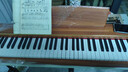 貝琪（Betsy）B351電鋼琴88鍵重錘成人兒童電子鋼琴家用練習初學(xué)者專(zhuān)業(yè)考級鋼琴 B351-重力度88鍵木紋棕 曬單實(shí)拍圖