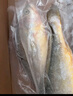 三都港 冷凍寧德大黃魚(yú)700g/2條裝 黃花魚(yú) 生鮮魚(yú)類(lèi) 深海魚(yú) 中秋 曬單實(shí)拍圖
