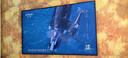 三星（SAMSUNG）新品DU8000系列55/65/75/85/98英寸 98DU9000 平板液晶電視 超薄4K全面屏 AI智能補幀 無(wú)開(kāi)機廣告 55英寸 DU8000C升級1級能效 曬單實(shí)拍圖