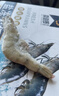 賣(mài)魚(yú)郎先生青島鹽凍大蝦凈重3.6斤 20-25只/斤 白蝦基圍蝦生鮮 蝦類(lèi) 曬單實(shí)拍圖