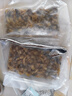 鮮享純新鮮速凍大號蟶子肉新鮮捕撈鮮剝無(wú)沙去殼純肉蟶子肉冷凍竹節蟶 1250g 冷凍蟶子肉每包1.25斤共2.5斤 曬單實(shí)拍圖