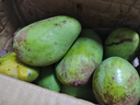 【熱賣(mài)】新鮮芒果熱帶當季新鮮水果整箱 帶箱4斤單果80g+全國倉發(fā) 曬單實(shí)拍圖