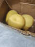 夢(mèng)茜兒順豐現貨 文旦柚 玉環(huán)浙江臺州 禮盒裝白肉柚子30年老樹(shù)尾度新鮮 3-4斤 A級大果 普快 曬單實(shí)拍圖