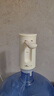 小熊（Bear）桶裝水抽水器 飲水機自動抽水器 純凈水壓水神器抽水泵 電動礦泉水吸水器 水桶上水器 YSJ-F06Q1 曬單實拍圖