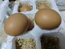農家散養土雞蛋鮮雞蛋正宗山林喂養初生蛋高營(yíng)養土雞蛋40g-50g/枚 10枚（單枚40克） 曬單實(shí)拍圖