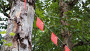 適馬（SIGMA）56mm F1.4 DC DN｜Contemporary 半畫(huà)幅大光圈定焦鏡頭 人像特寫(xiě)（適馬56 f1.4索尼E卡口） 曬單實(shí)拍圖