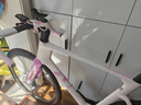 瑞豹SPARK SPORT自行車(chē)公路車(chē)公路自行車(chē)成人公路車(chē)自行車(chē)電子變速 貝殼白粉 PES邁金電變 碳輪 L|身高180-185cm 曬單實(shí)拍圖