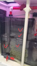 森森（SUNSUN）大型魚缸底過濾水族箱客廳家用落地玻璃生態(tài)金魚缸 超白款升級底濾 0.8米長35cm寬（黑白可選） 曬單實拍圖