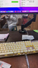 卡洛奇（kaloc）顯示器支架顯示器支架臂機械臂顯示屏支架電腦支架顯示器懸臂支架屏幕支架DS200 曬單實(shí)拍圖