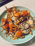 萬(wàn)向輪小凳子家用滑輪矮凳子移動(dòng)帶輪板凳網(wǎng)紅小圓凳沙發(fā)凳小椅子 金色面包款【座面更大更厚】 曬單實(shí)拍圖