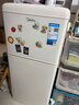 美的（Midea）復古小冰箱迷你小型雙門(mén)家用 冷藏冷凍兩用節能輕音電冰箱 歐式現代家裝網(wǎng)紅顏值款BCD-113MR 曬單實(shí)拍圖
