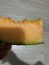正宗哈密瓜 新鮮甜脆 皮薄多汁 1.5-2斤（嘗鮮） 脆甜爽口多汁 曬單實(shí)拍圖