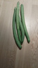 京鮮生山東新鮮綠皮絲瓜3斤裝單果30cm起農(nóng)家種植時(shí)令蔬菜源頭直發(fā)包郵 曬單實(shí)拍圖
