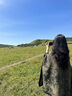 微光里川西云南旅游披肩女新款外搭新疆西北民族風(fēng)斗篷披巾圍巾披風(fēng)穿搭 江南風(fēng)光淺綠色（155*135cm) 曬單實(shí)拍圖
