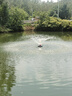 博洛尼不銹鋼全自動(dòng)魚(yú)塘增氧機(jī)220V養(yǎng)殖增氧泵池塘浮水式魚(yú)池增氧氧氣泵 【適1.5畝】1100W-30米線 【304不銹鋼】220V全自動(dòng)款 曬單實(shí)拍圖