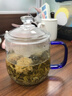 VTyee高硼硅玻璃杯茶杯帶把手家用耐高溫帶蓋泡茶杯男女高顏值喝水杯子 【耐熱150度】藍把 470ml 1只 曬單實拍圖