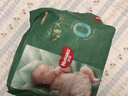 好奇（Huggies）深睡大師紙尿褲M(mǎn)46(6-11kg)尿不濕小森林Pro【新生頂配更深睡】 曬單實(shí)拍圖