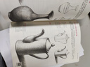 視頻同步教學(xué)《素描入門(mén)教程》零基礎初自學(xué)教材書(shū)籍鉛筆手繪畫(huà)畫(huà)冊本 單個(gè)單體石膏幾何體結構單體靜物組合臨摹美術(shù)范本 曬單實(shí)拍圖