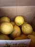 【果園直發(fā)】現摘正宗無(wú)籽廣東香水檸檬青黃果鴨屎香奶茶店專(zhuān)用 香水檸檬黃果5斤裝45克--230克 曬單實(shí)拍圖