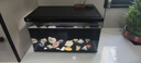 當貝智能生態(tài)魚(yú)缸1Ultra 一體缸自循環(huán)雙過(guò)濾AI托養懶人家用桌面魚(yú)缸 曬單實(shí)拍圖