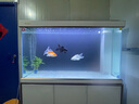 森森（SUNSUN）大型魚缸底過濾水族箱客廳家用落地玻璃生態(tài)金魚缸 【實(shí)時(shí)溫顯+燈控】珍珠白 1.2米長35cm寬 曬單實(shí)拍圖