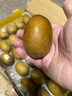 佳沛（zespri）新西蘭  陽(yáng)光金奇異果25-27粒原箱特大果單果約122-146g  獼猴桃 曬單實(shí)拍圖