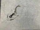 周虎臣毛筆豐澤園狼毫大楷高檔長(cháng)峰狼毫楷書(shū)行書(shū)草書(shū)行草專(zhuān)用 曬單實(shí)拍圖