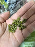 1號會(huì )員店（One's Member）有機綠豆2.3kg（綠豆湯粥 可打豆漿 東北五谷粗糧雜糧 可發(fā)芽） 曬單實(shí)拍圖