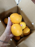 土八鮮江西橙子贛南臍橙新鮮水果贛州臍橙手剝甜橙禮盒 奮進(jìn)橙9-10斤【果徑70-79mm】 曬單實(shí)拍圖