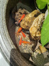 紅國獅金魚(yú)冷水魚(yú)鴻運當頭鶴頂鎏金金魚(yú)苗獅子頭好養耐活淡水金魚(yú) 紅獅+紅白獅8-10cm各3條 曬單實(shí)拍圖