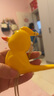 乖明星水鳥(niǎo)口哨兒童發(fā)音訓練可注水加水會(huì )學(xué)鳥(niǎo)叫嬰幼兒喇叭小鳥(niǎo)哨子玩具 曬單實(shí)拍圖