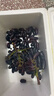 芬嵐【順豐隔日達】新鮮手指葡萄正宗藍寶石美人無(wú)籽黑河北葡萄 凈重2斤+防震葡萄袋 老農精選-順豐配送上門(mén) 曬單實(shí)拍圖
