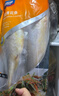 海名威 冷凍黃花魚(yú)700g/2條 寧德大黃魚(yú)地標 海鮮水產(chǎn) 生鮮魚(yú)類(lèi) 中秋 曬單實(shí)拍圖