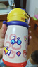 babycare兒童水杯6個(gè)月以上寶寶霸王龍不銹鋼保溫杯上學(xué)450ml-新舊款混發(fā) 曬單實(shí)拍圖