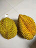 【保4房肉】A級進(jìn)口金枕鮮榴蓮1粒2.5-3kg(L) 曬單實(shí)拍圖