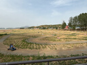 一味化氏國民+青春版魚(yú)竿釣魚(yú)竿新手入門(mén)推薦綜合竿4.5m 國民青春版 曬單實(shí)拍圖