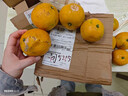 云南蜜橘早熟桔子新鮮水果當季酸甜薄皮青皮橘子孕婦整箱蜜橘 帶箱2斤（55mm起） 曬單實(shí)拍圖