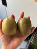 京鮮生 四川紅心獼猴桃24粒裝 單果90-110g 新鮮水果 源頭直發(fā)包郵 曬單實(shí)拍圖