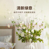 Harbor House美式家居仿真花草繡球花裝飾擺件客廳臥室花束假花禮物Emily 滿(mǎn)天星仿真花束白色/綠色-單支 長(cháng)18X寬18X高134.5cm 曬單實(shí)拍圖