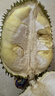 【保4房肉】A級進(jìn)口金枕鮮榴蓮1粒2-2.5kg(M) 曬單實(shí)拍圖