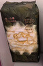 babycare金山茶花紙尿褲L40片(9-14kg)嬰兒尿不濕超薄透氣新生柔花苞褲 曬單實(shí)拍圖