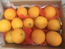 京鮮生 四川愛(ài)媛38號果凍橙  凈重5斤 單果190g起 生鮮水果禮盒 曬單實(shí)拍圖
